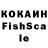 Конопля гибрид Sebastian Co