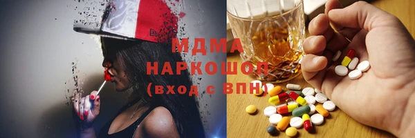 индика Щигры