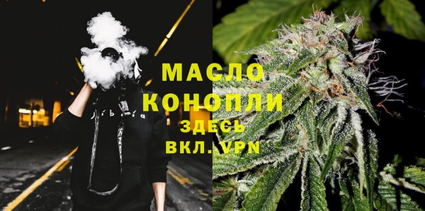 индика Шали
