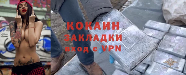 ешки Алексин