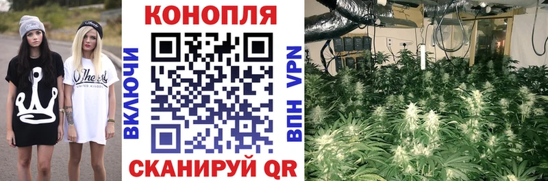 Бошки марихуана ГИДРОПОН Одинцово